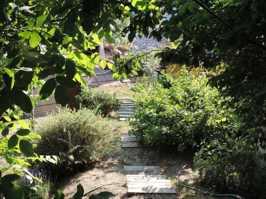 La Demeure Des Elfes Bed & Breakfast Albinen Exterior foto