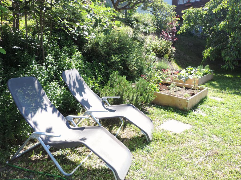 La Demeure Des Elfes Bed & Breakfast Albinen Exterior foto